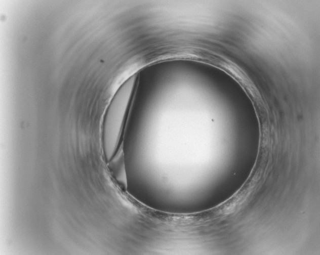 X0000088620858200706221454