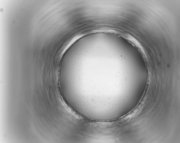 X0000088620860200706221454