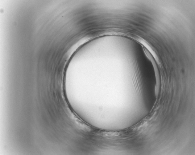 X0000088620861200706221454