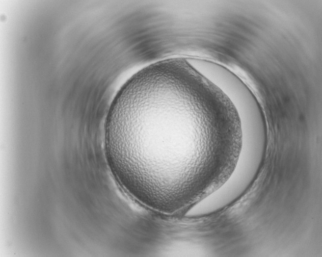 X0000088620862200706221454