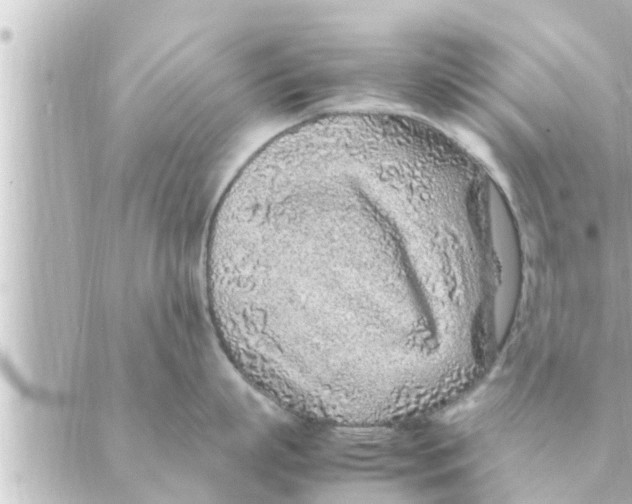 X0000088620863200706221454