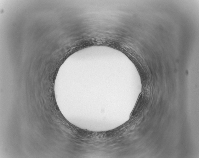 X0000088620865200706221453