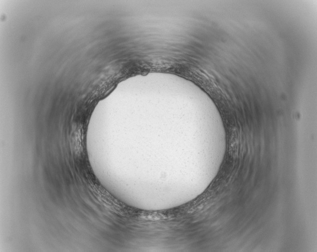 X0000088620866200706221453