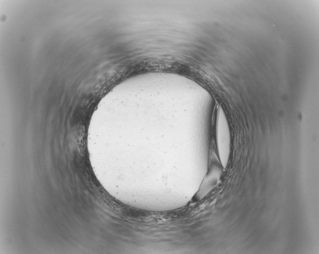 X0000088620867200706221453