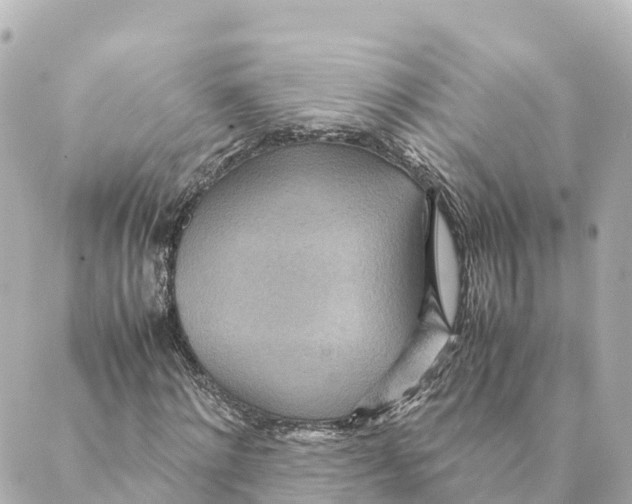 X0000088620868200706221453