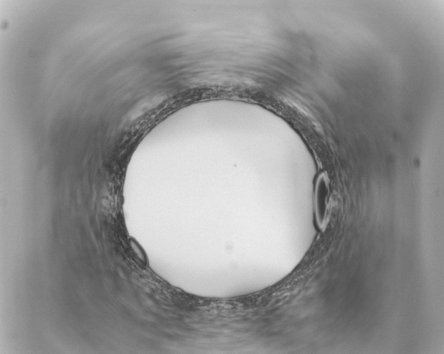 X0000088620869200706221453