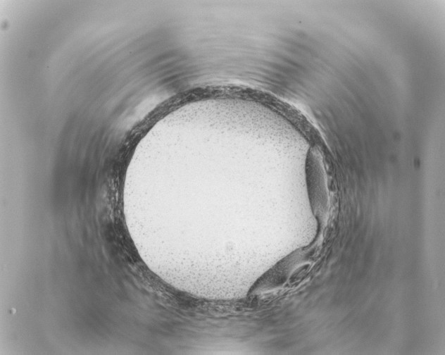 X0000088620871200706221453