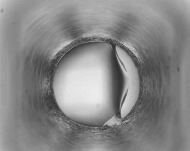 X0000088620872200706221453