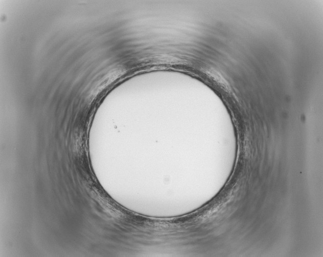 X0000088620873200706221453