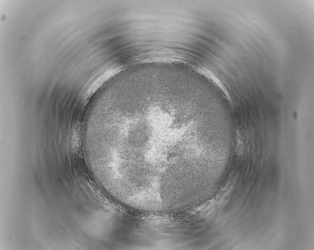 X0000088620874200706221453