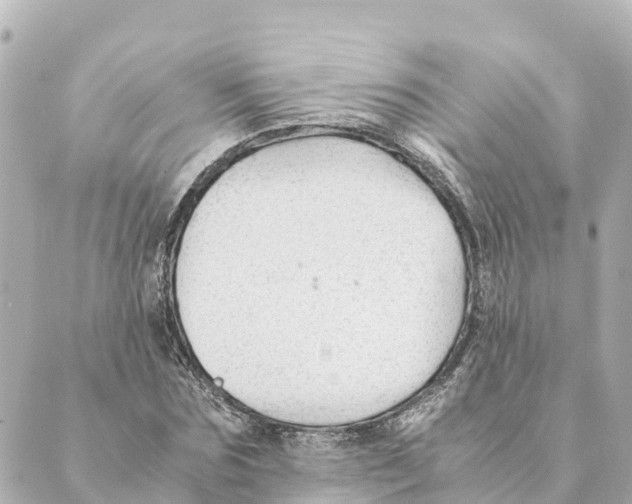 X0000088620875200706221453