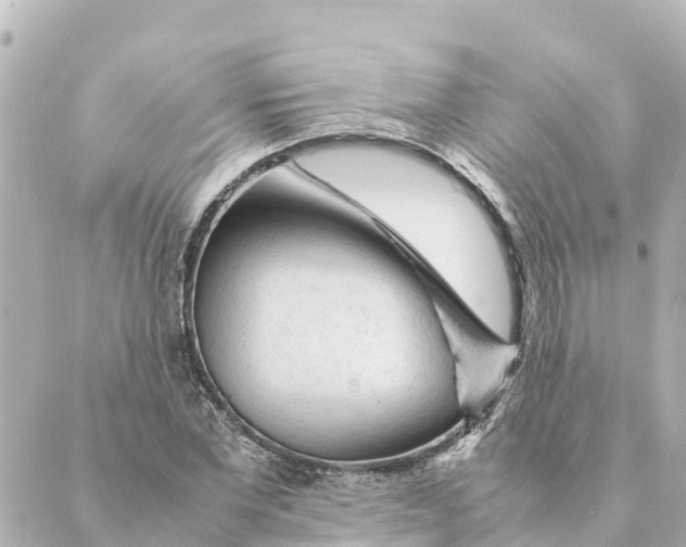 X0000088620877200706221453