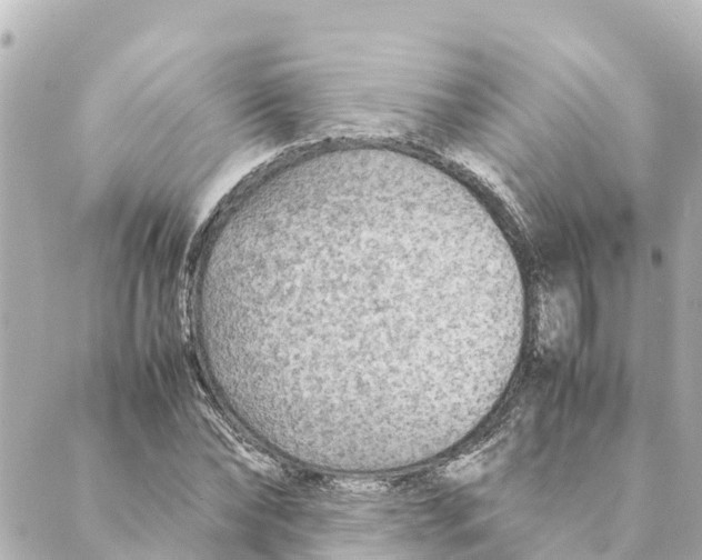 X0000088620878200706221453