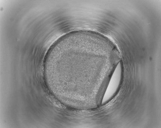 X0000088620879200706221453