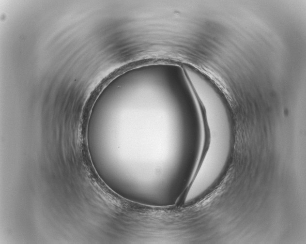 X0000088620880200706221453