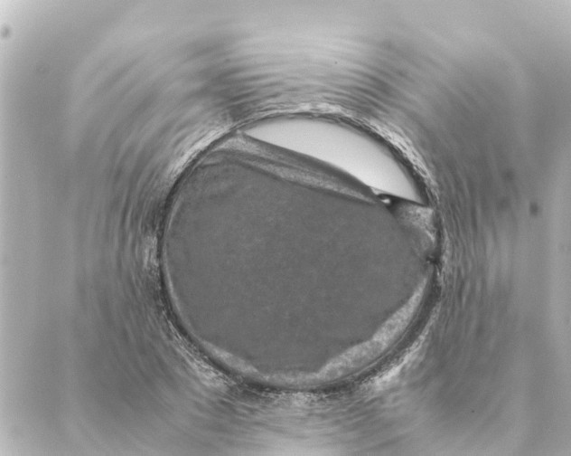 X0000088620881200706221453