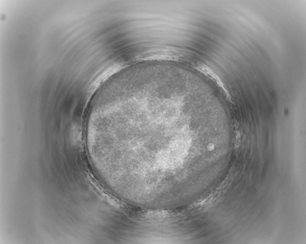 X0000088620882200706221453