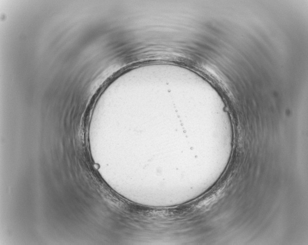 X0000088620883200706221453