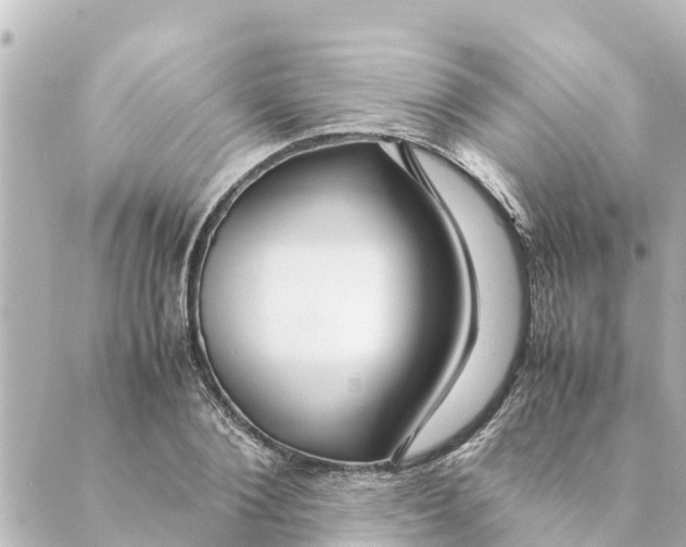 X0000088620884200706221453