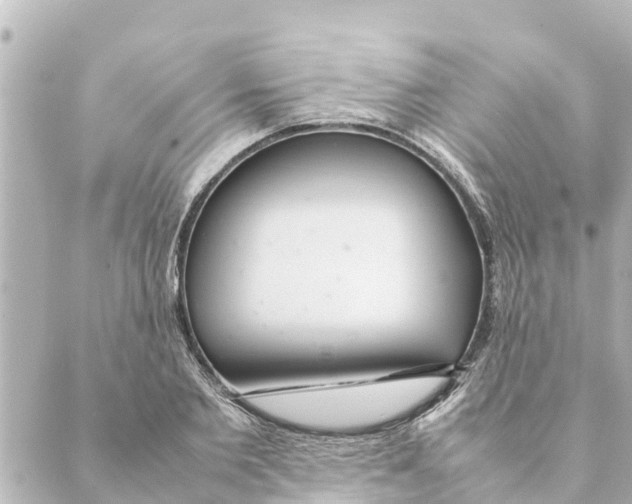 X0000088620885200706221453