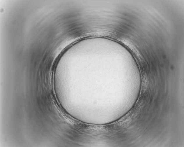 X0000088620886200706221453