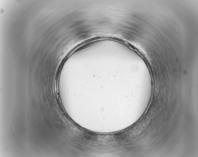 X0000088620887200706221453