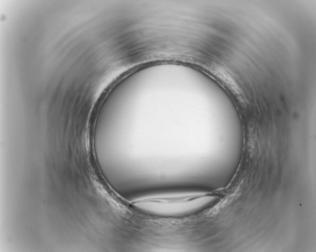 X0000088620888200706221453