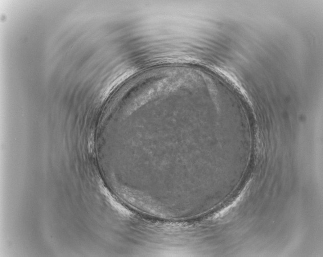 X0000088620889200706221453