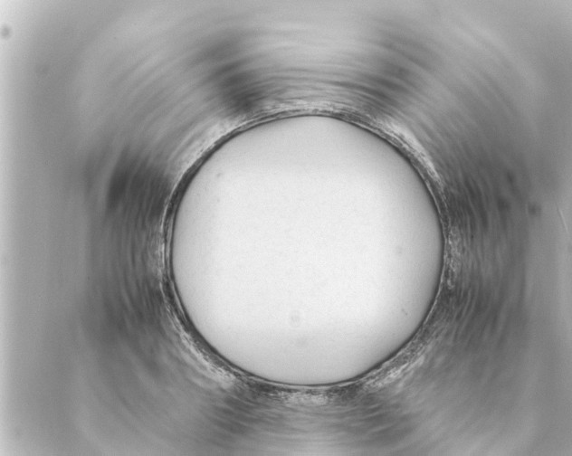 X0000088620890200706221453