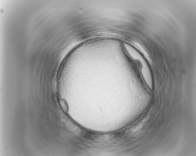 X0000088620891200706221453