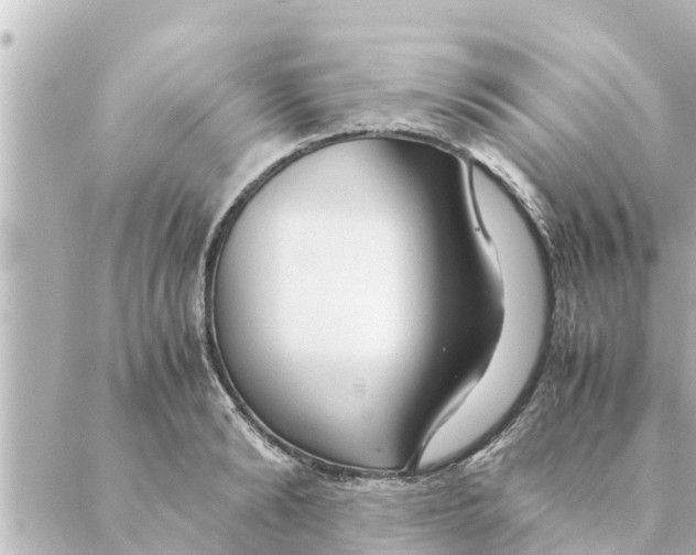 X0000088620894200706221452