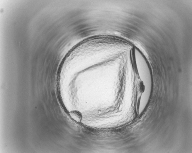 X0000088620895200706221452