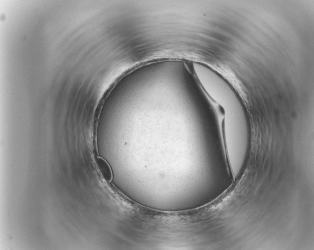 X0000088620896200706221452