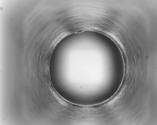 X0000088620897200706221452