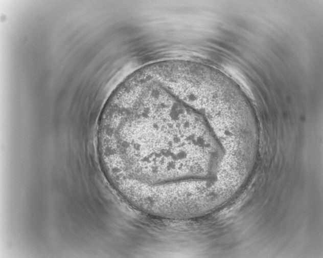 X0000088620899200706221452