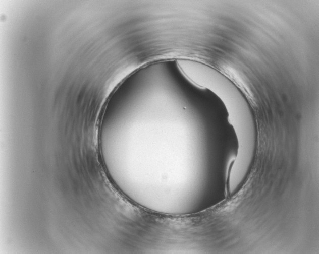 X0000088620900200706221452