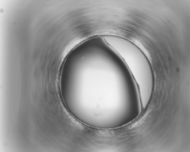 X0000088620901200706221452