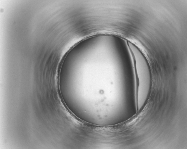 X0000088620902200706221452