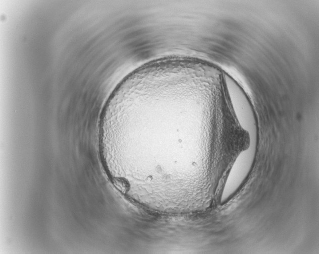 X0000088620903200706221452