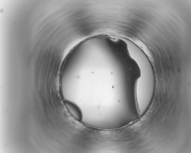 X0000088620904200706221452