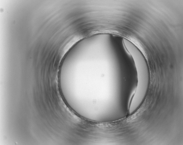 X0000088620906200706221452