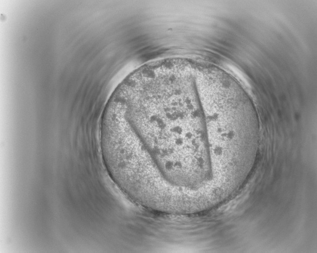 X0000088620907200706221452