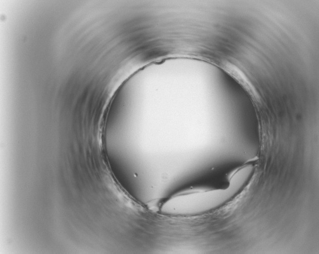 X0000088620908200706221452