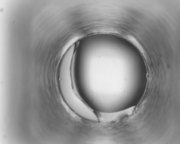 X0000088620909200706221452