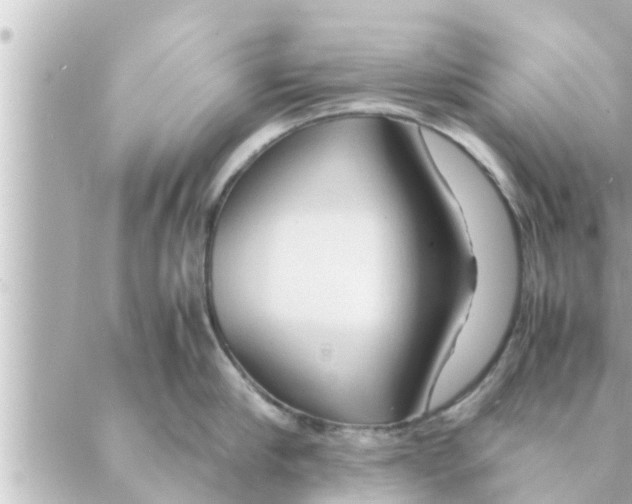 X0000088620910200706221452