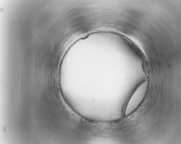 X0000088620911200706221452