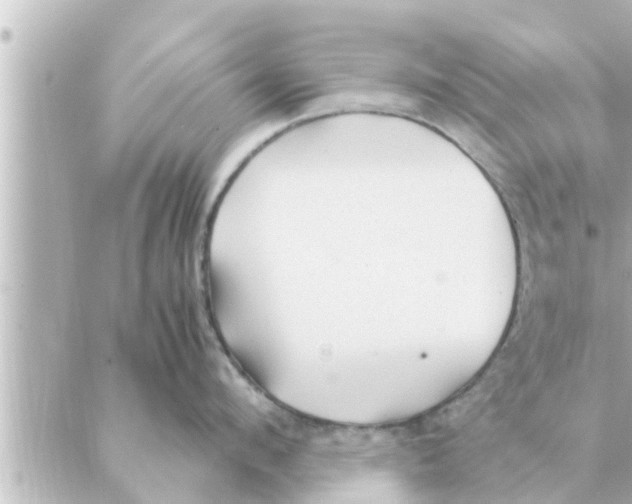 X0000088620912200706221452