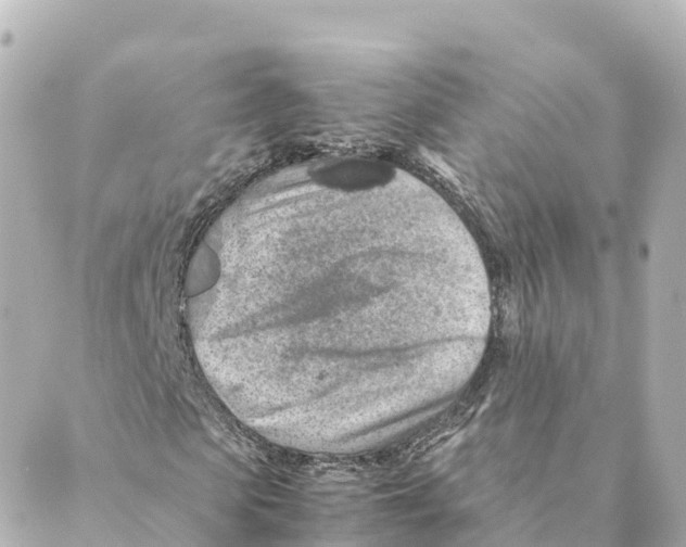 X0000088620913200706221451