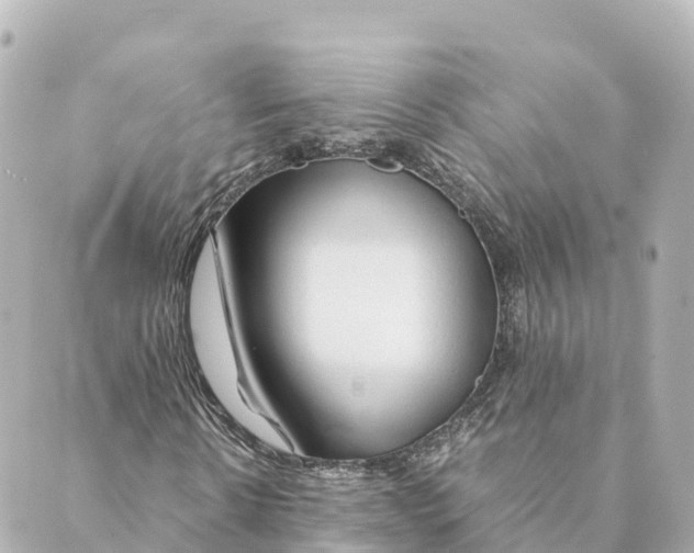 X0000088620914200706221451