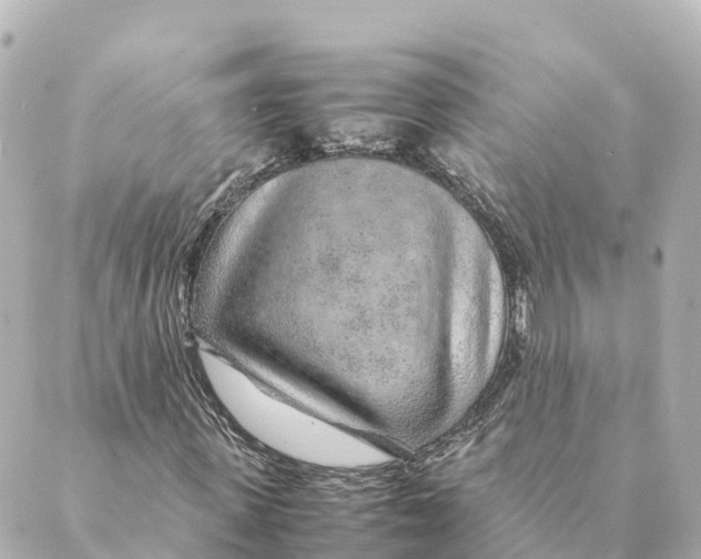 X0000088620915200706221451